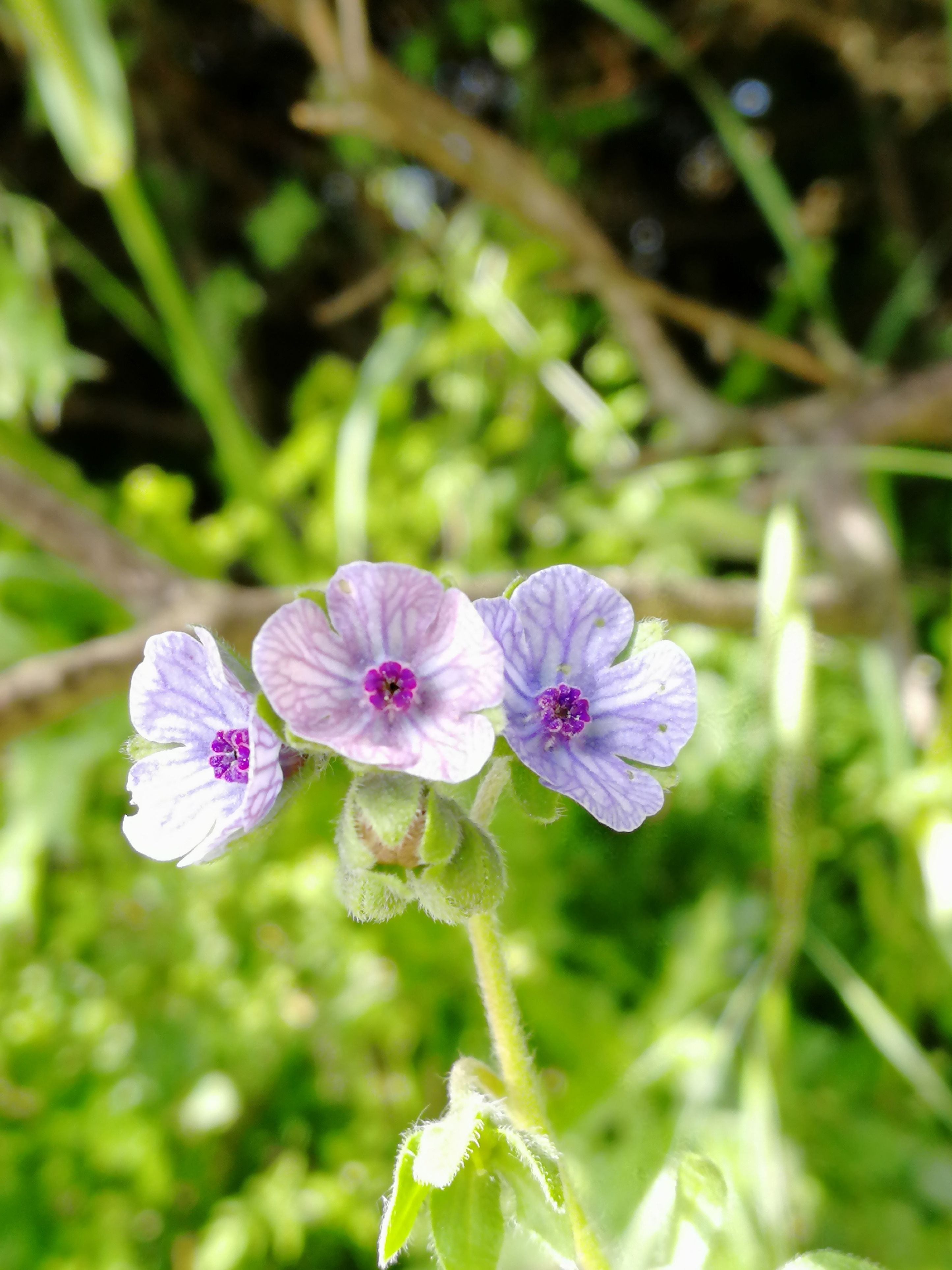 Annexe IMG_20200505_104618 1.jpg