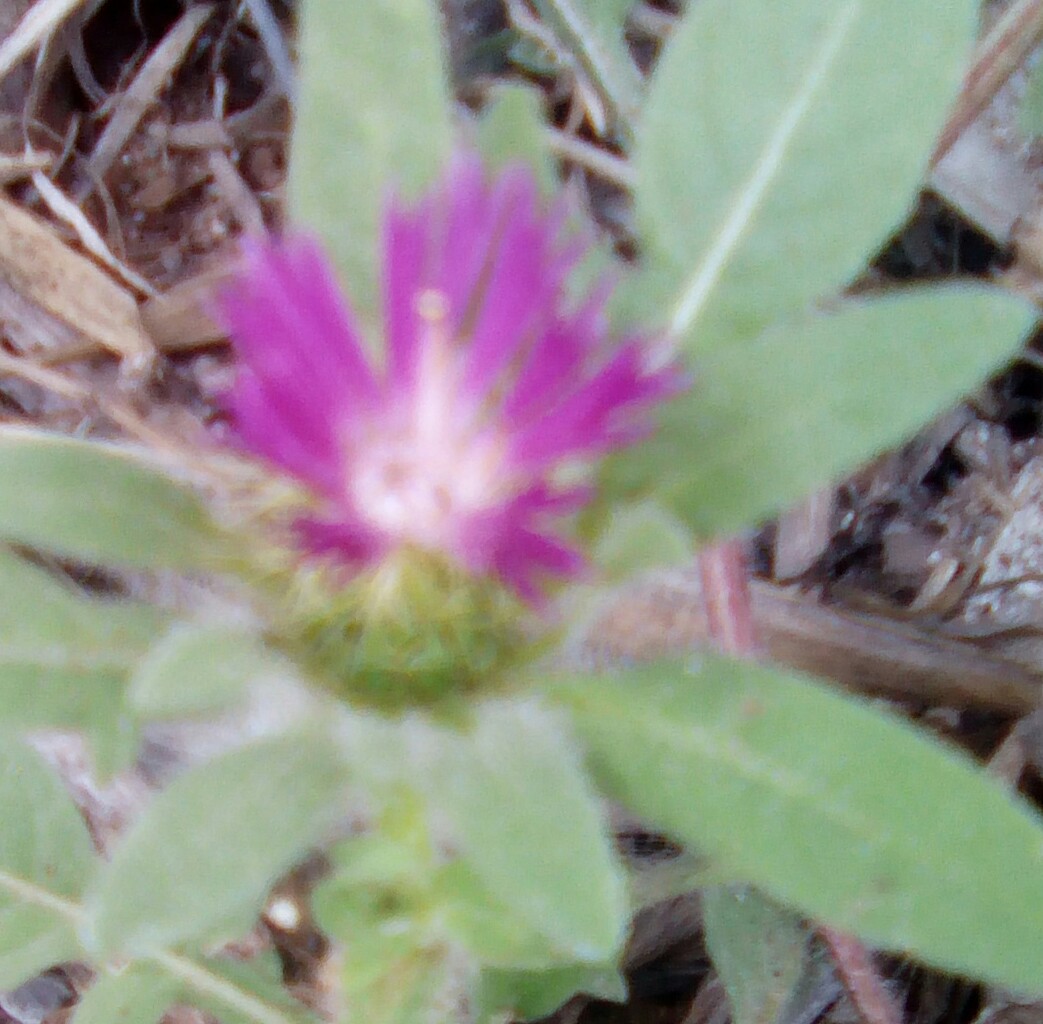 Annexe IMG_20200504_170622_463.JPG