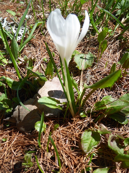 Annexe vue globale.JPG