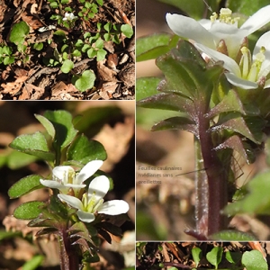 Annexe img_002344009CRS.jpg