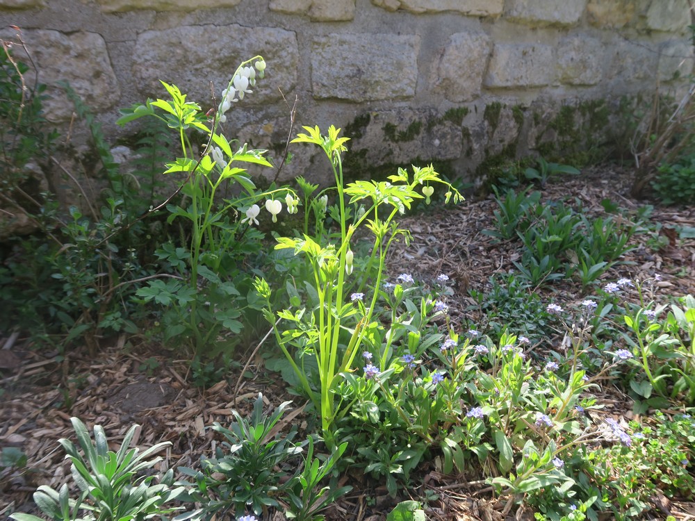 FUKUHARA - dans son environnement