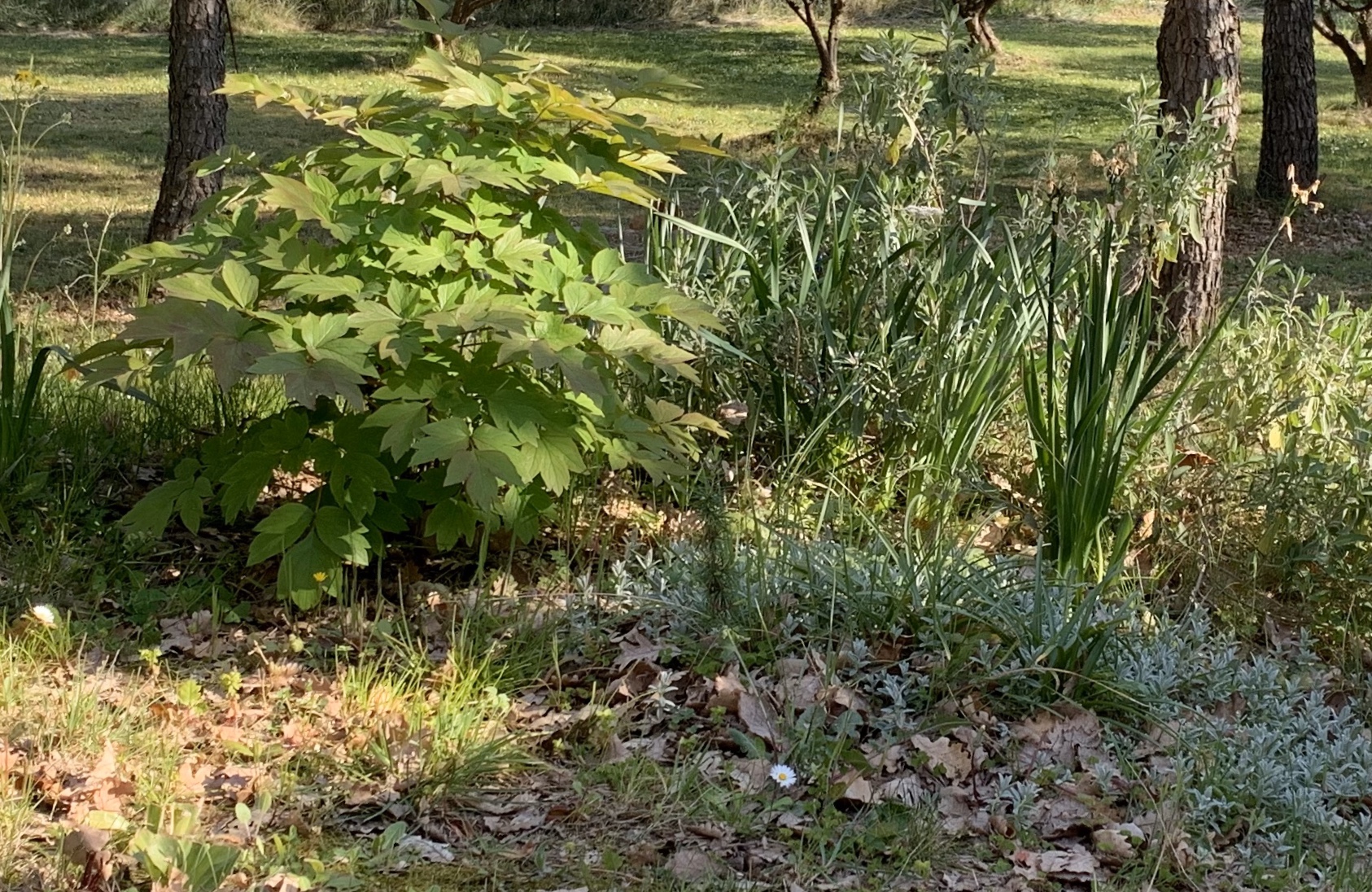 Annexe IMG_2156.jpeg