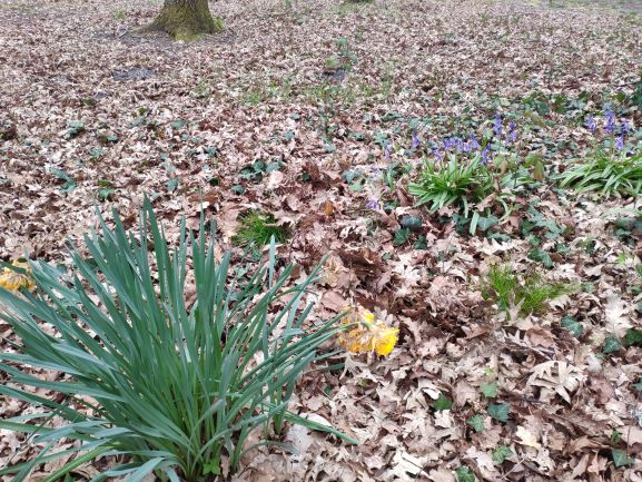 Annexe petit biodiv.jpg