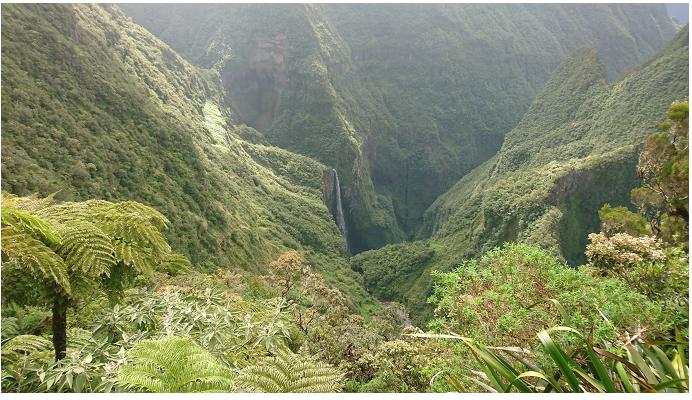 Annexe Le trou de fer - Ile de la réunion.JPG