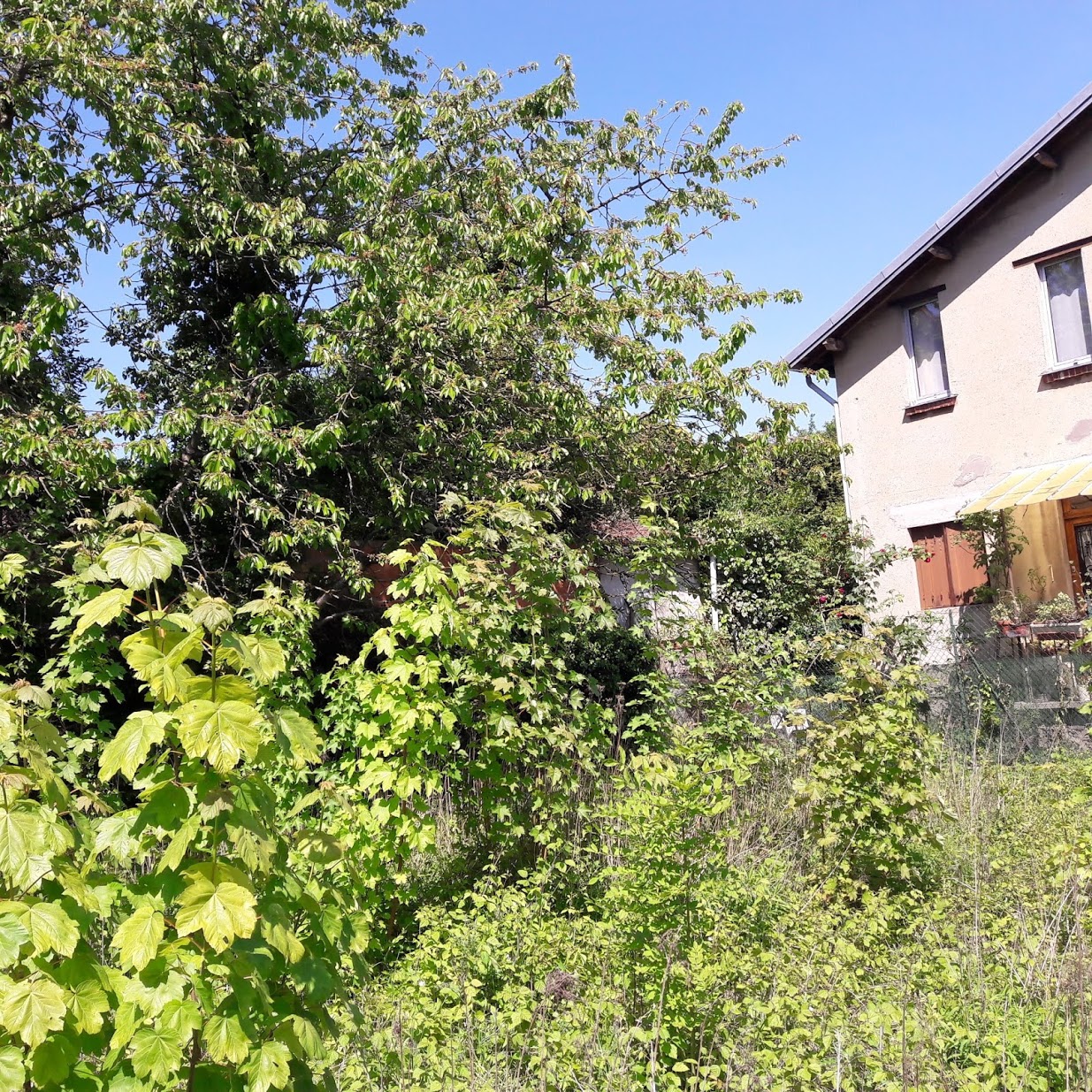 Annexe Friche francilienne.jpg