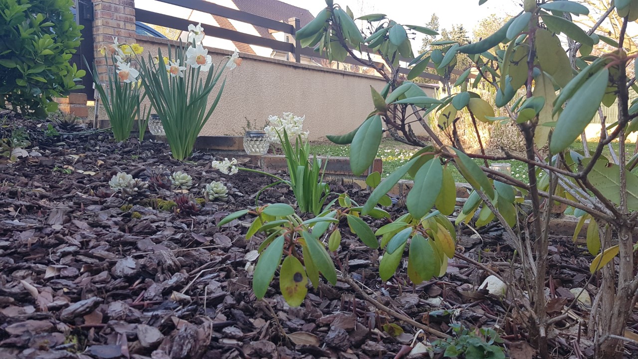 Annexe Lévolution.jpg