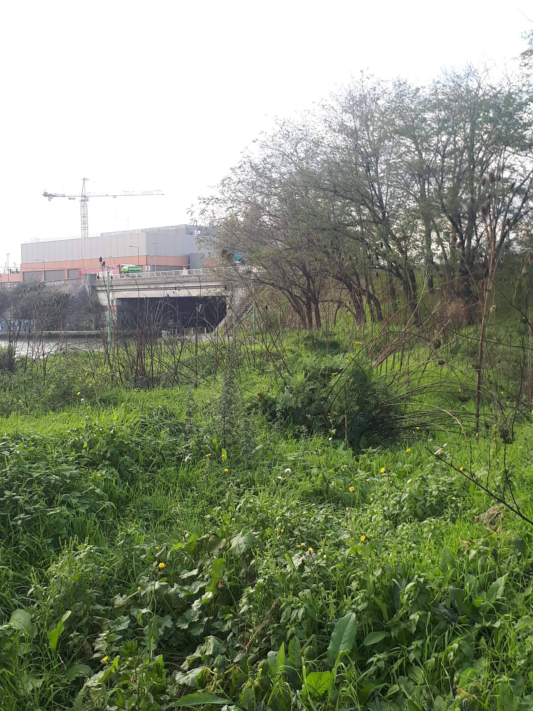 Annexe 91027961_512371896316394_5245782517423800320_n.jpg