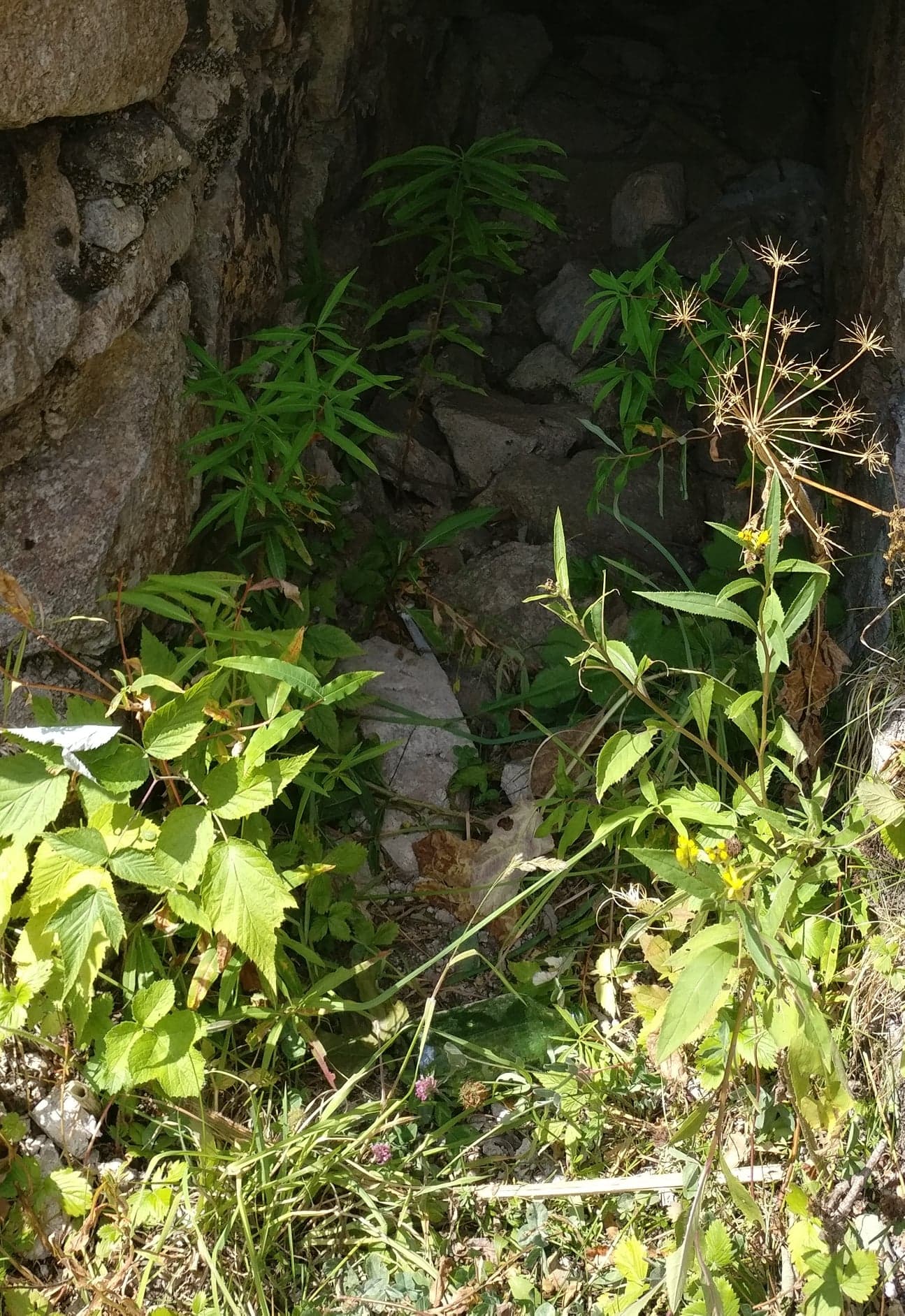 Annexe 90948929_223472162363113_8337299281299898368_n.jpg