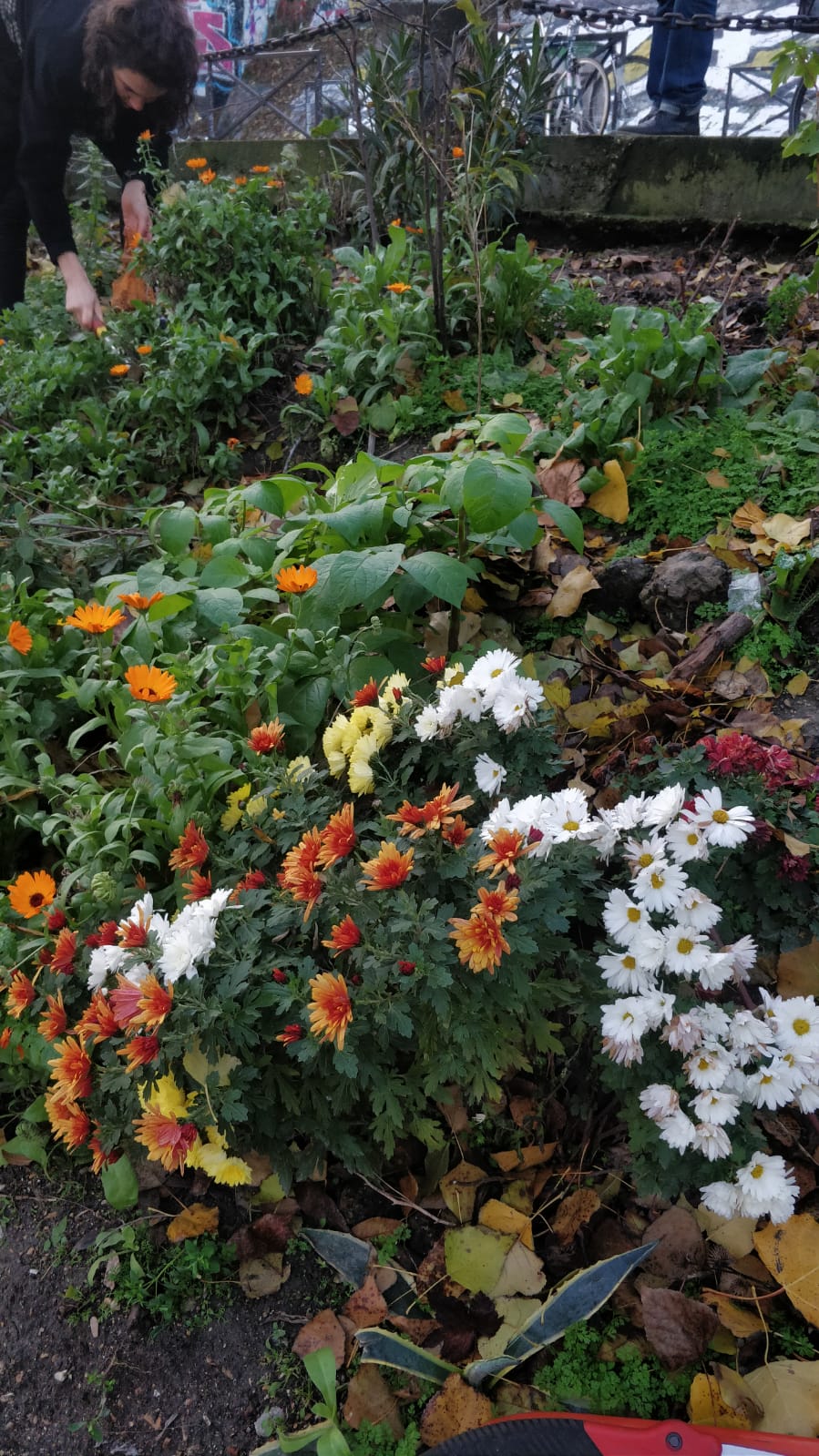 Annexe 05b8be4c-450d-447e-a985-08a4cc60160d.JPG