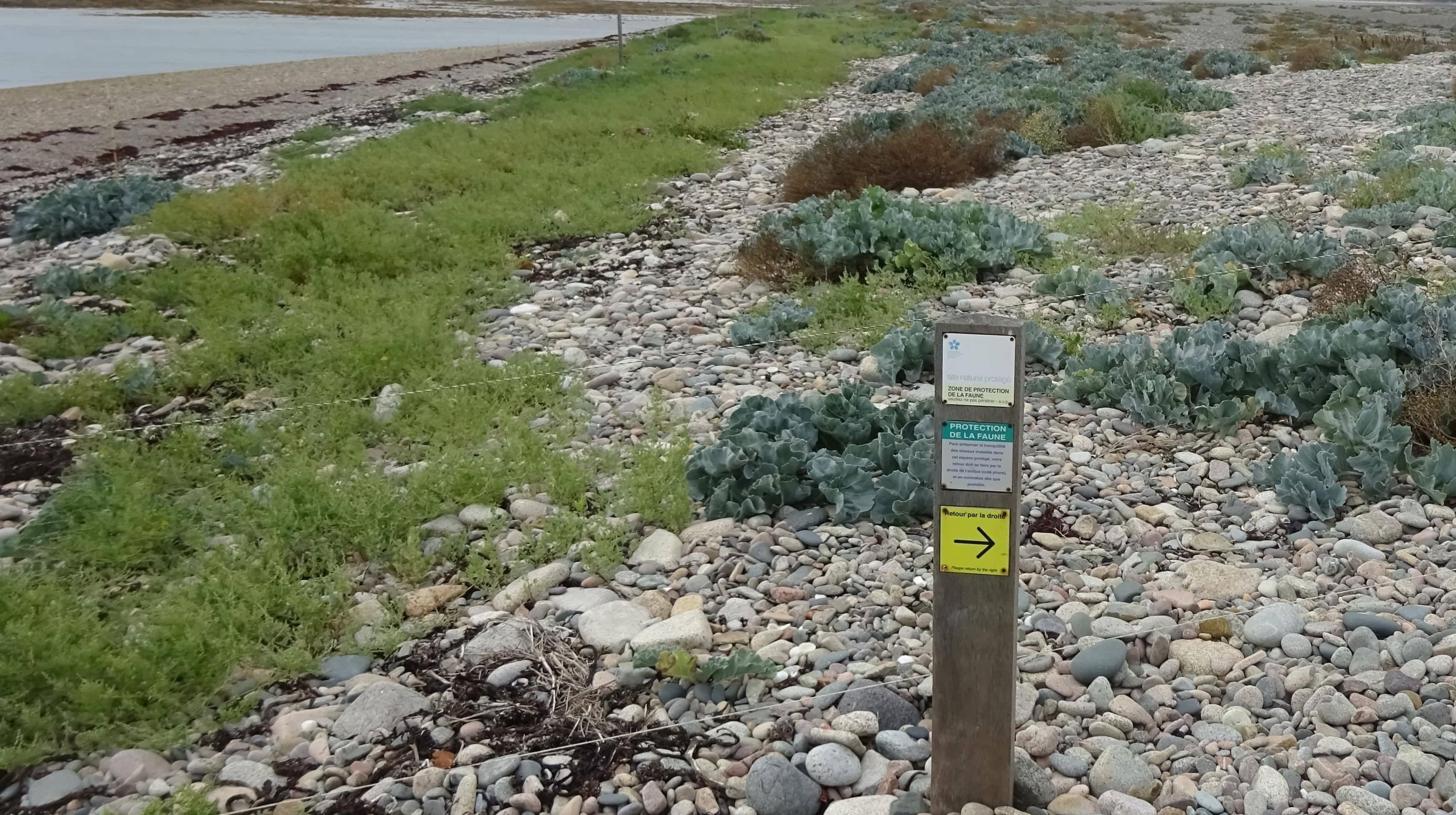 Annexe DSC03956-min (2).jpg