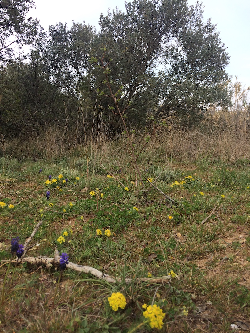 Annexe IMG_2292.jpeg