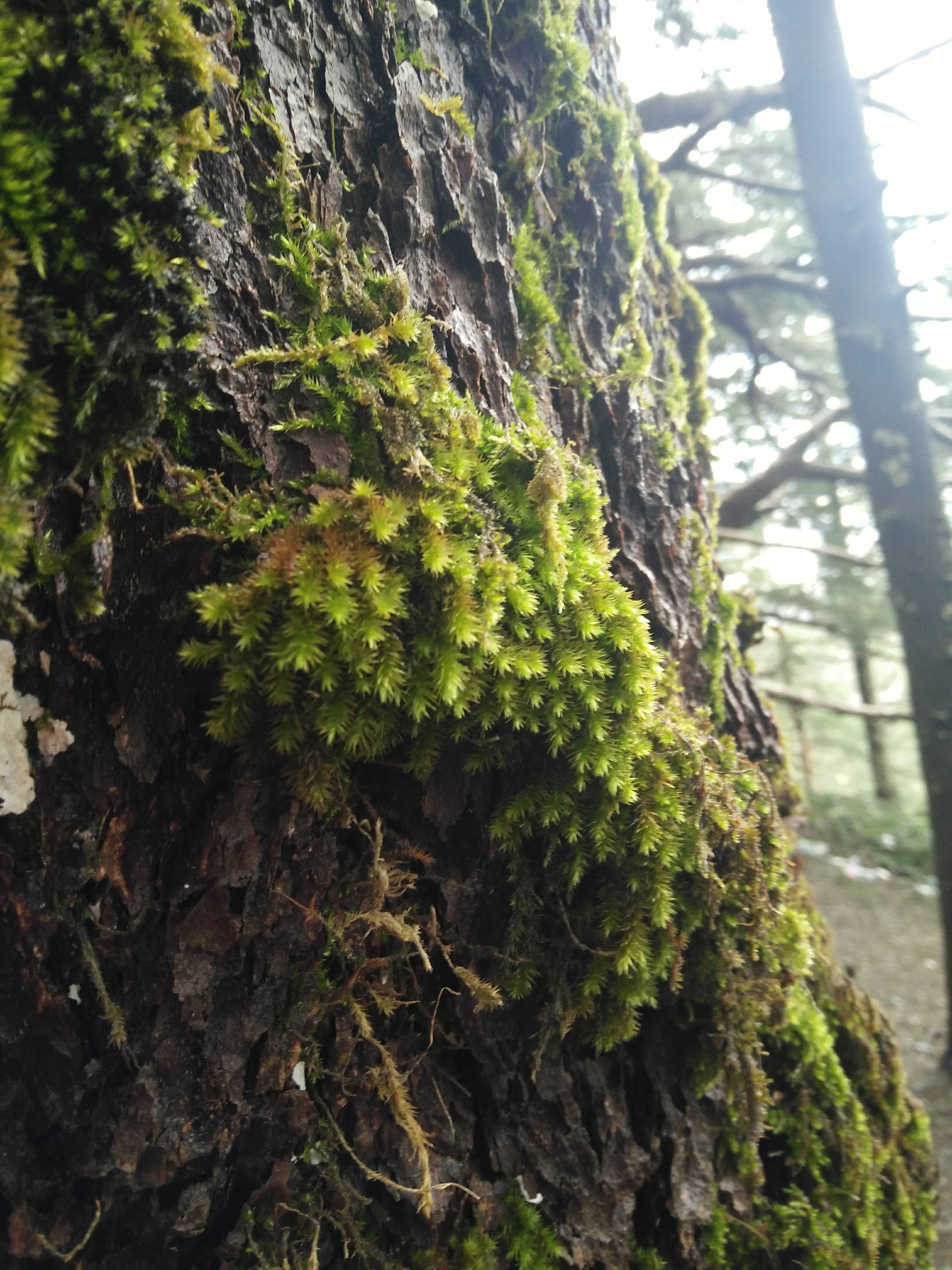 Annexe IMG20190131134756.jpg