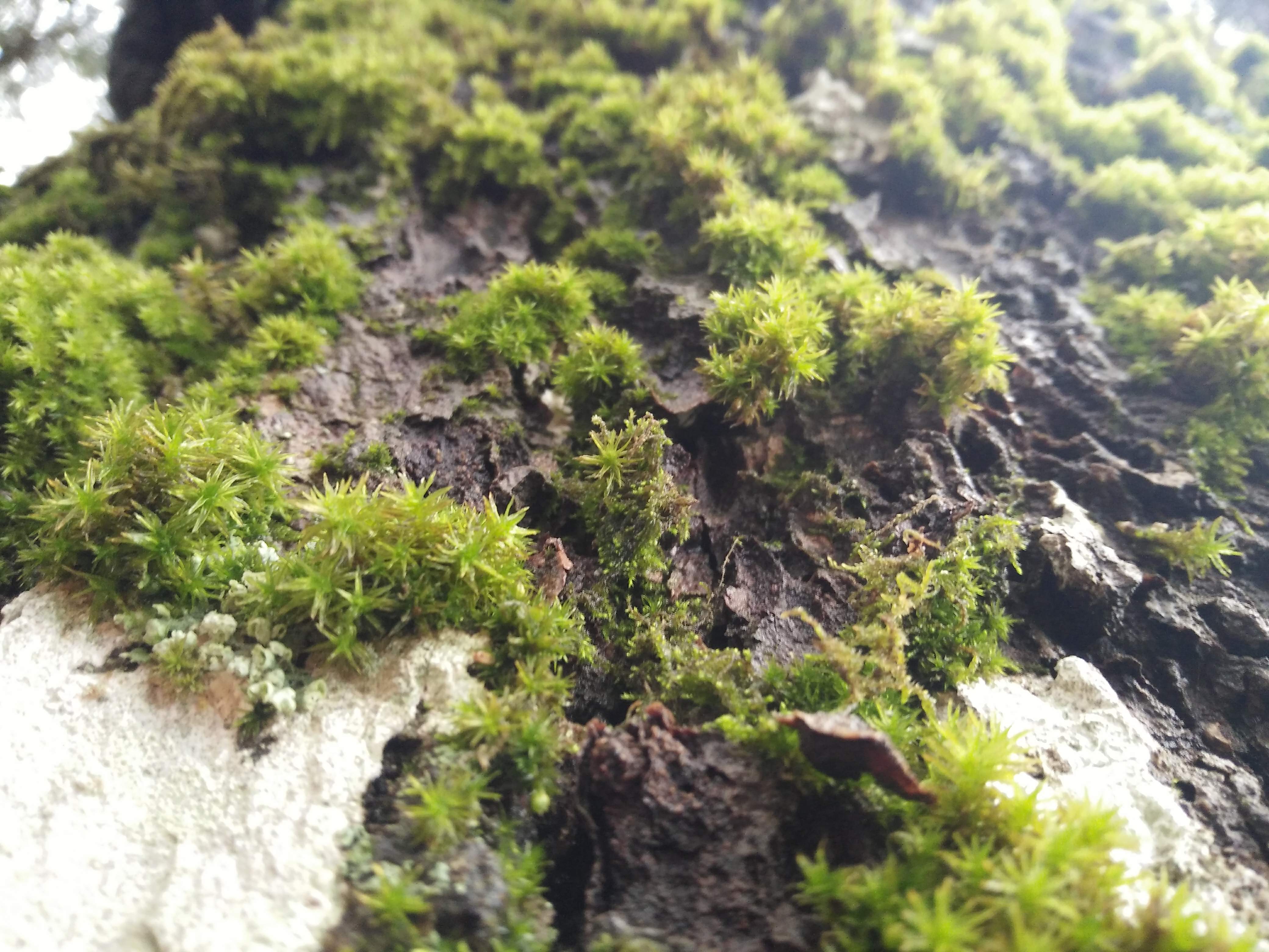 Annexe IMG20190131134829.jpg