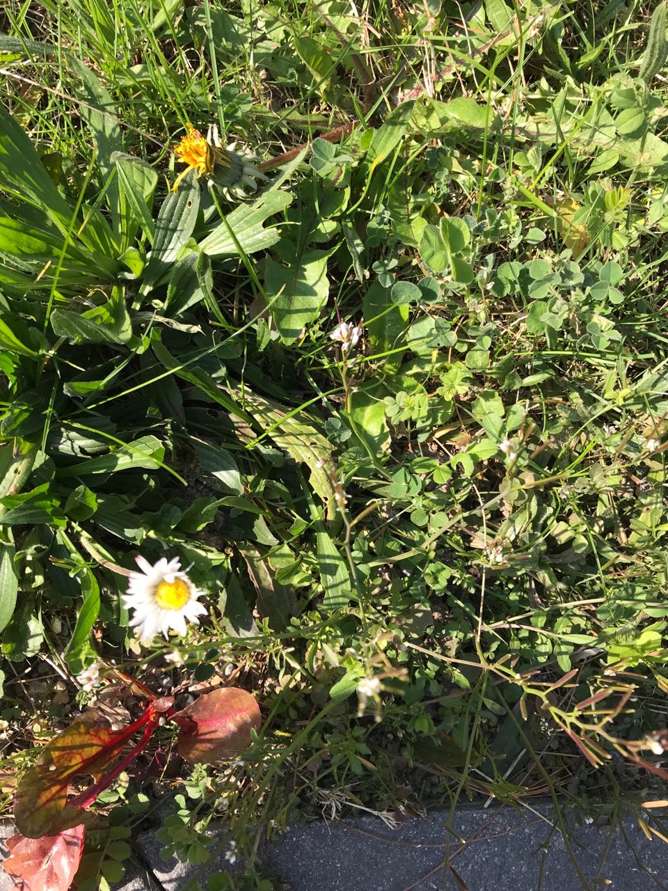 Annexe image (6).jpg