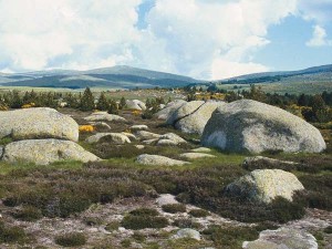 Annexe mont-lozere-cevennes-1-300x225.jpg