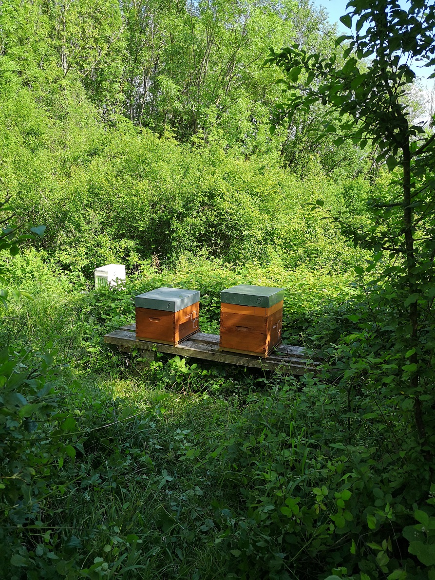 Annexe IMG_20180602_171530-2.jpg