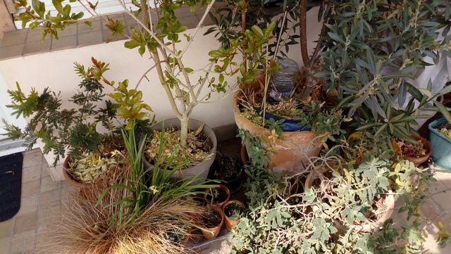 Annexe IMG_20200327_113200.jpg