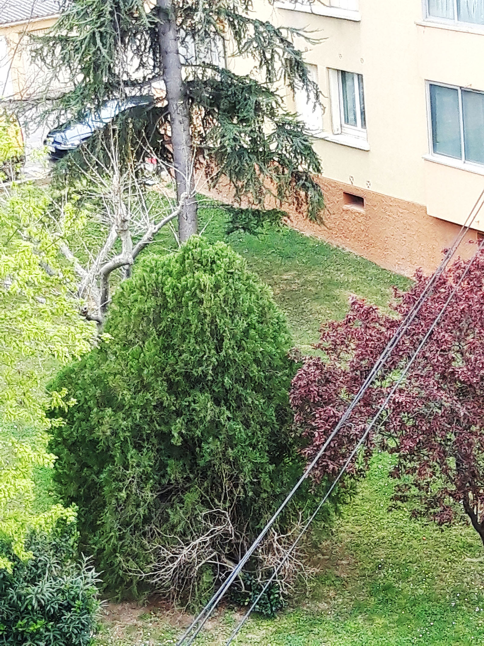 Annexe Biodiversité.jpg