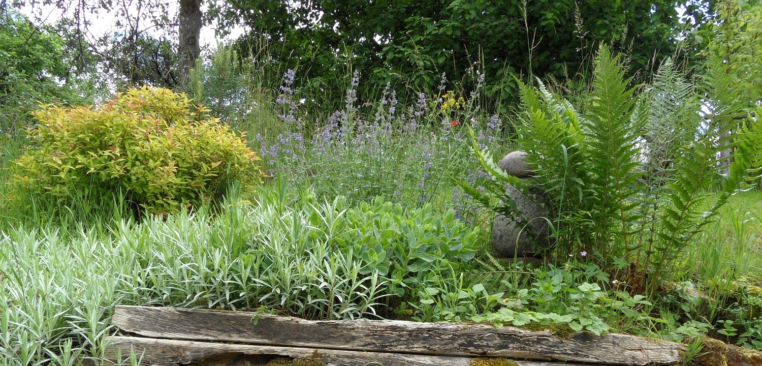 Annexe SAM_4352 (2).jpg