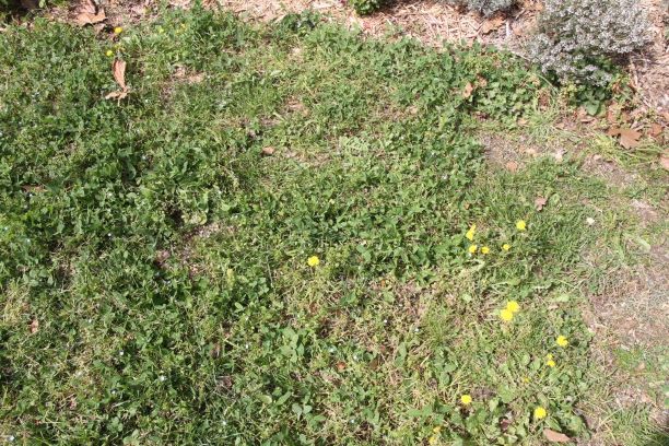 Annexe IMG_0418-ld.JPG