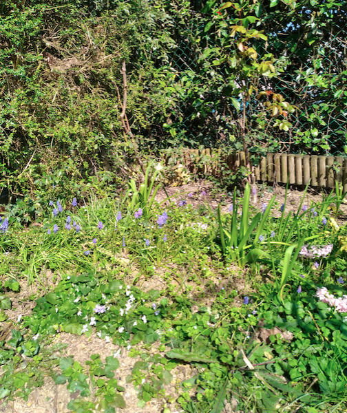 Annexe Capture d’écran 2020-03-27 à 13.50.32.png