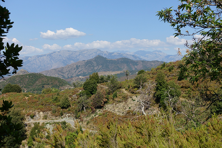 Annexe 20170715-Biodiversite.jpg