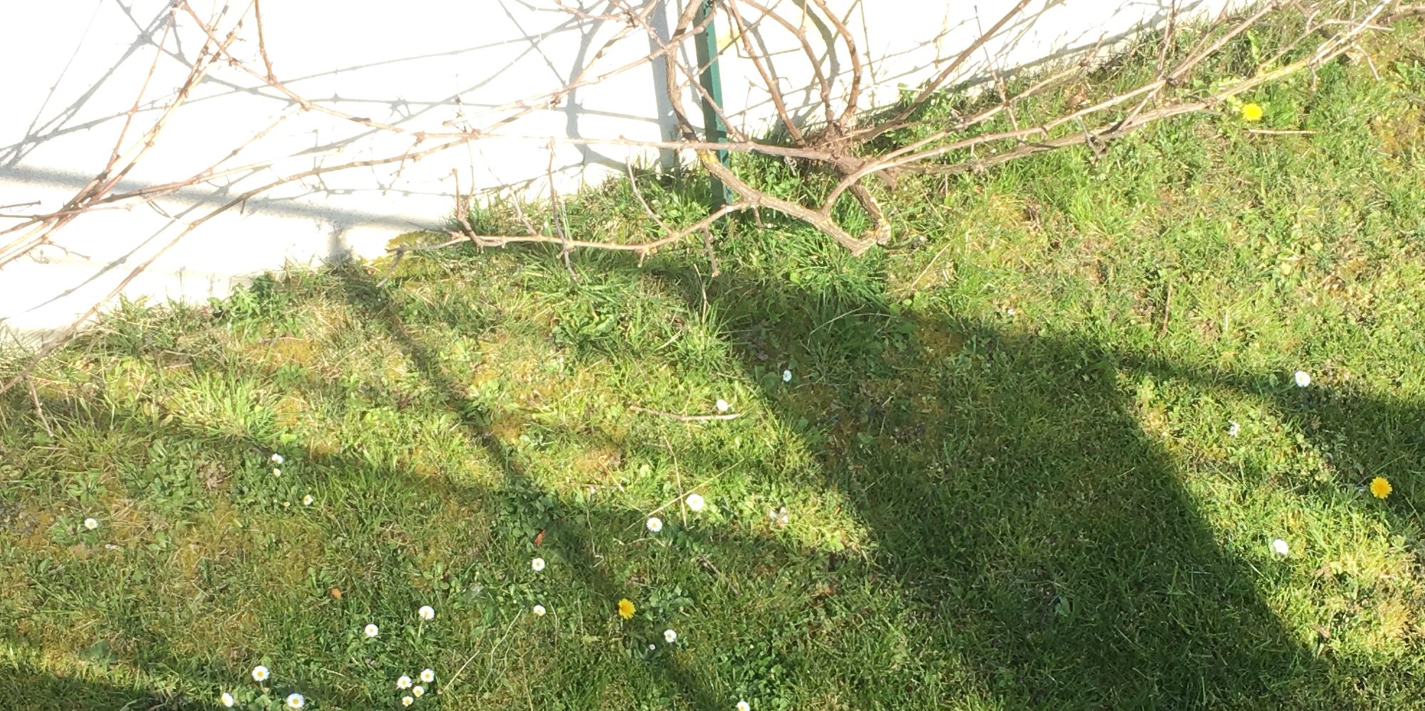 Annexe IMG-1873ll.jpg