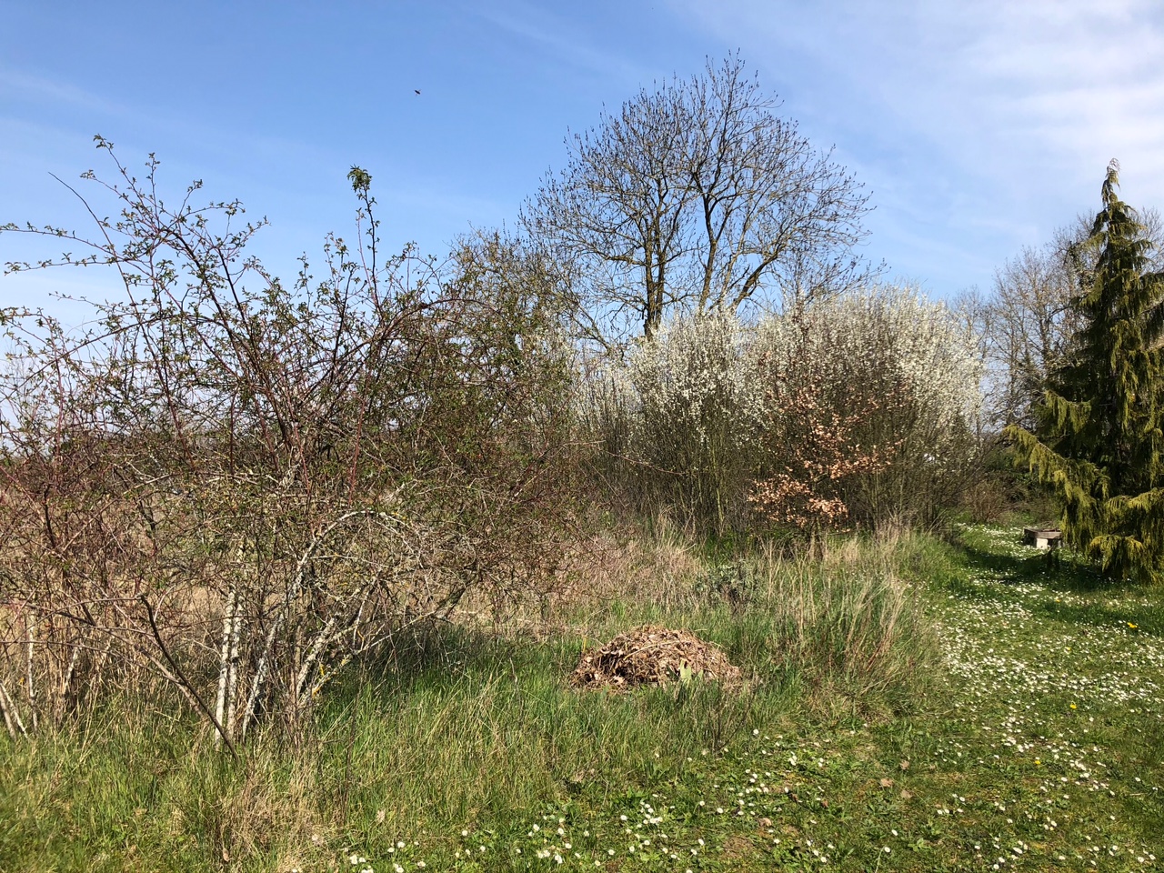 Annexe 2AB80FAF-62C7-49E6-B2C4-6E64EDC415C3.jpeg