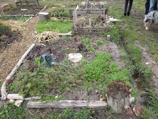 Annexe IMG_20180317_144454.jpg