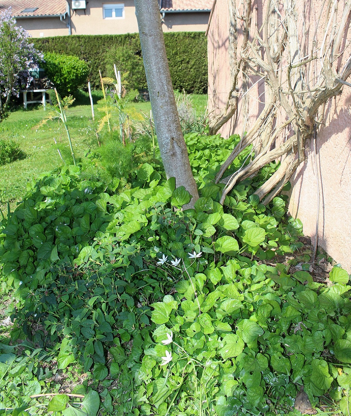 Annexe IMG_1037 (2).JPG