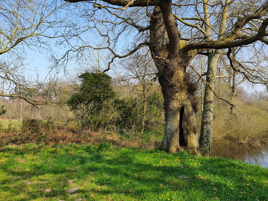 Annexe Biodiversité me voici.jpg