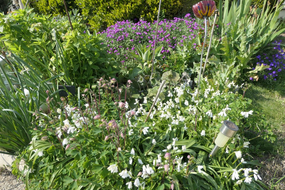 Annexe P1034519-3.JPG