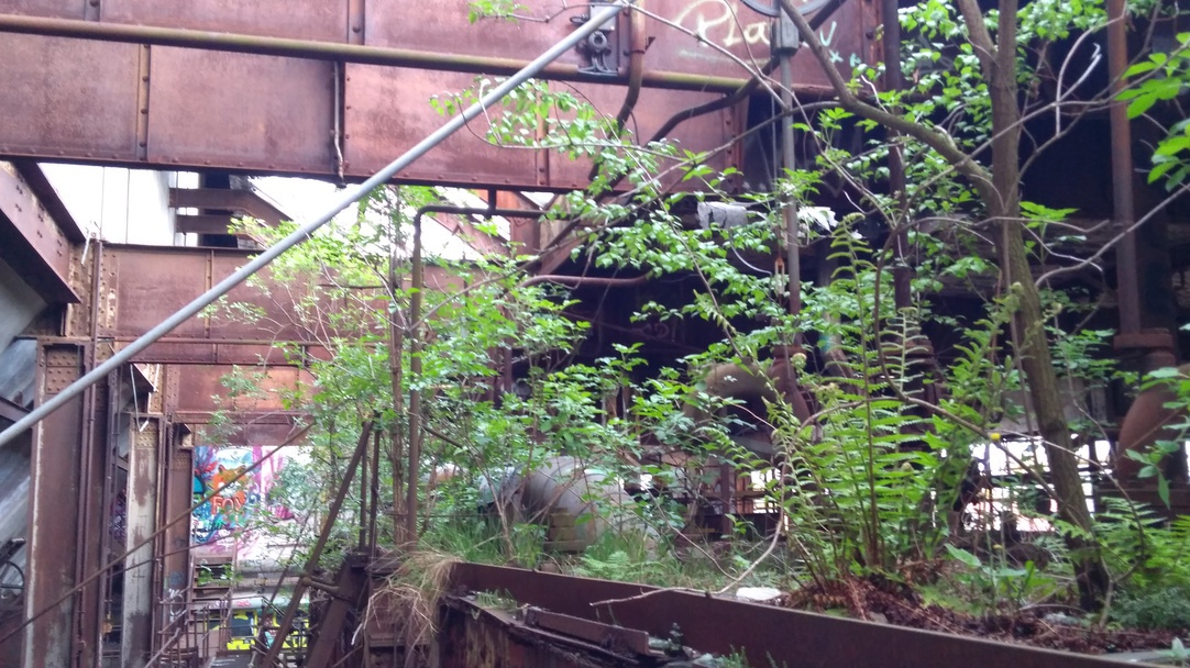 Annexe IMG_20170429_191423-ConvertImage(1).jpg