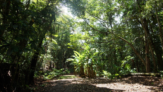 Annexe DSC00668-ConvertImage.jpg