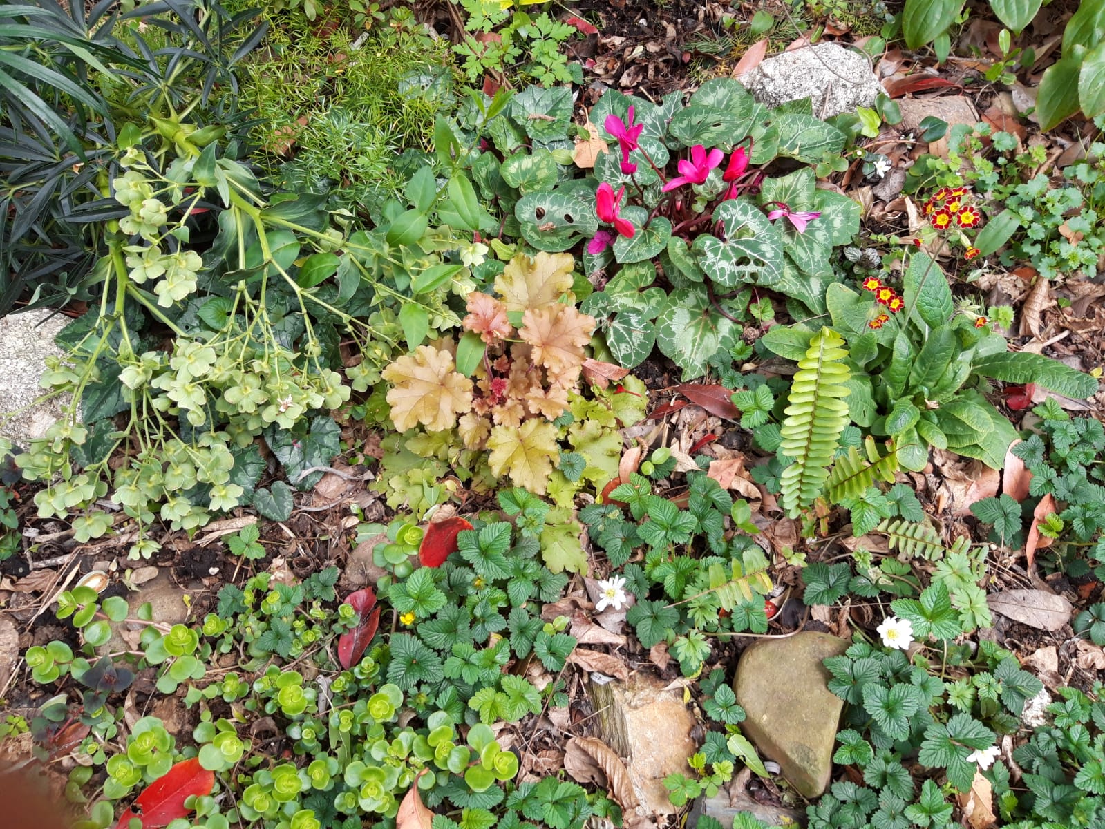 Annexe IMG-20200327-WA0008.jpg