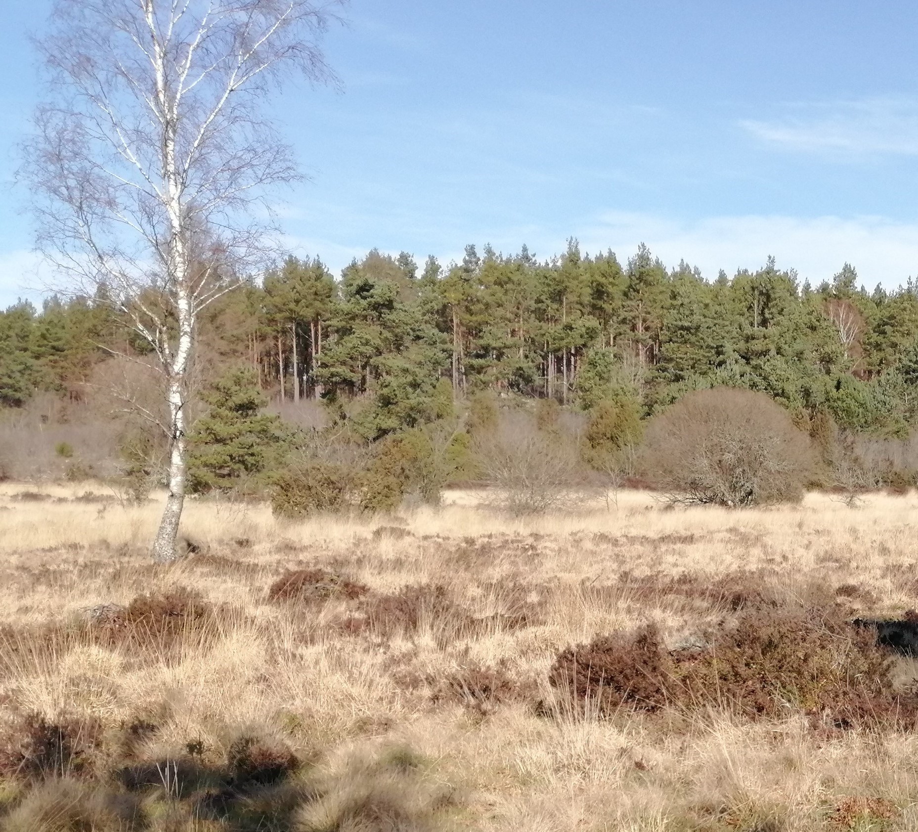 Annexe IMG_20200223_111759 - Copie.jpg