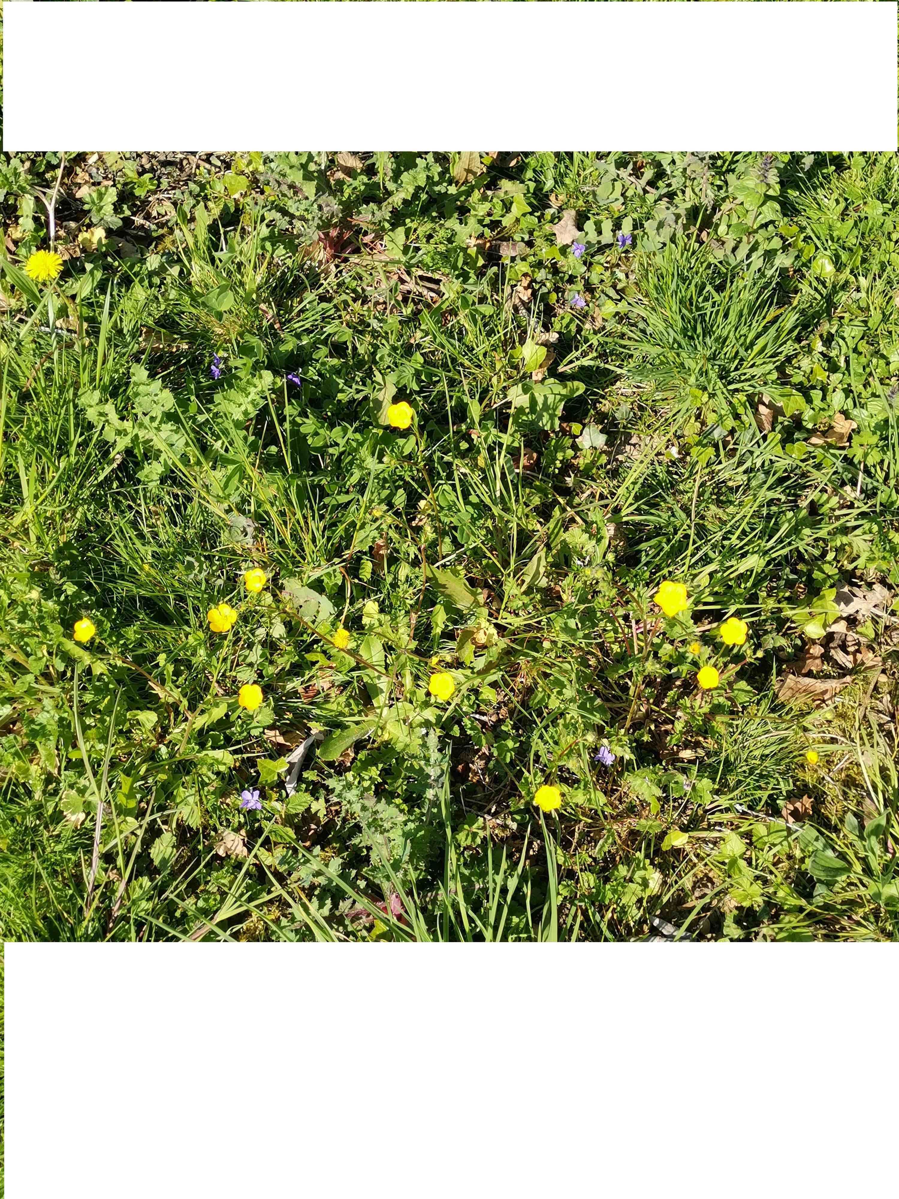 Annexe IMG_20200327_163532.jpg