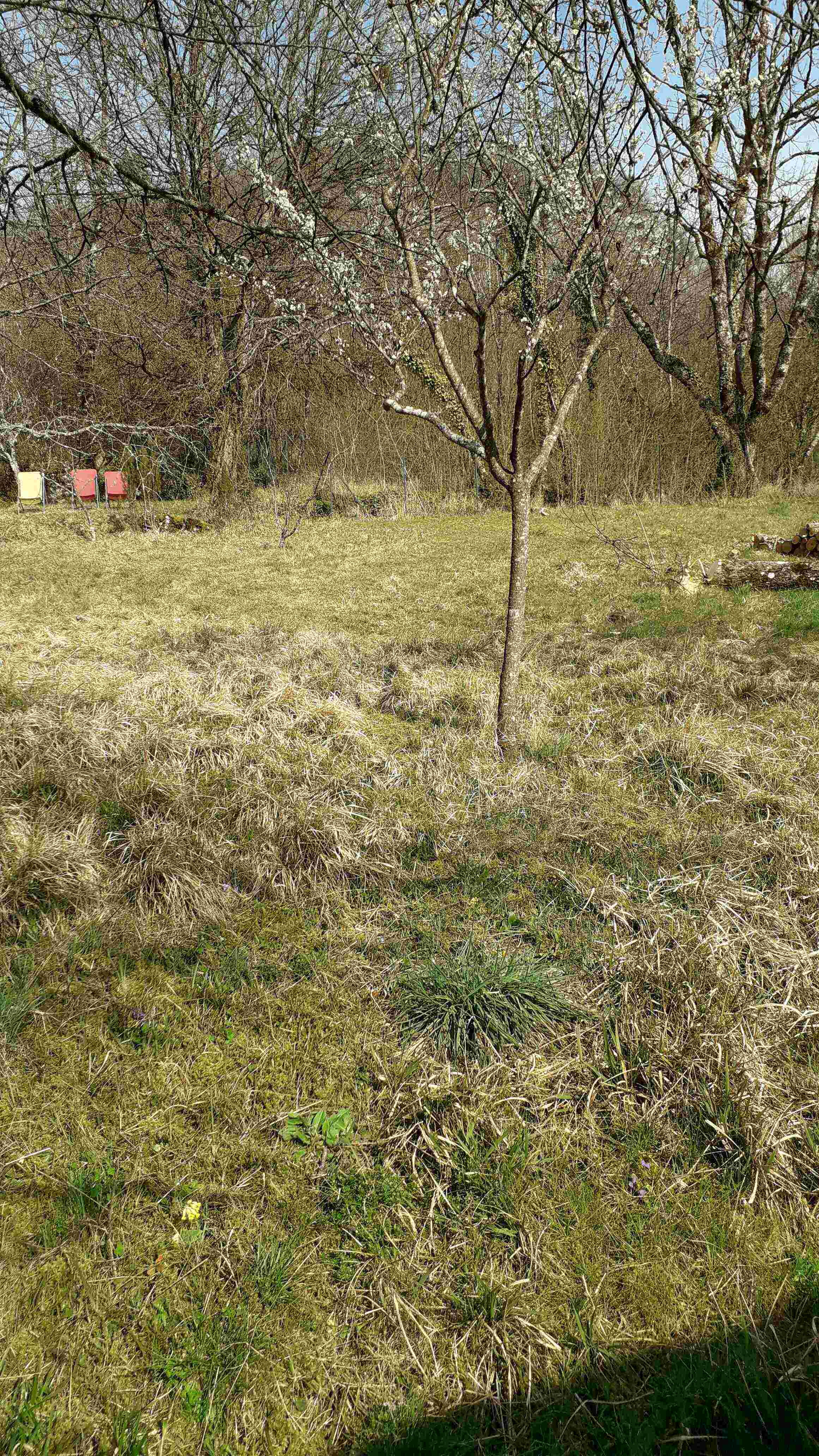 Annexe 1jardin 3-2.jpg