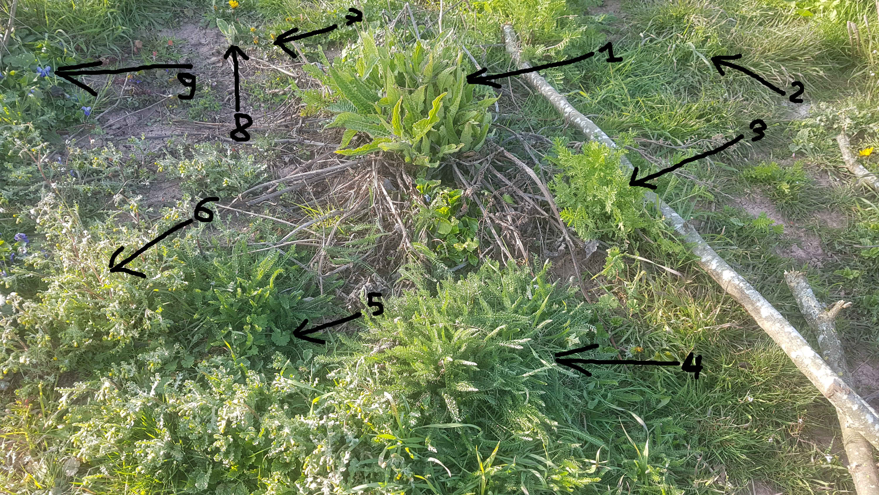 Annexe ecosysteme.jpg