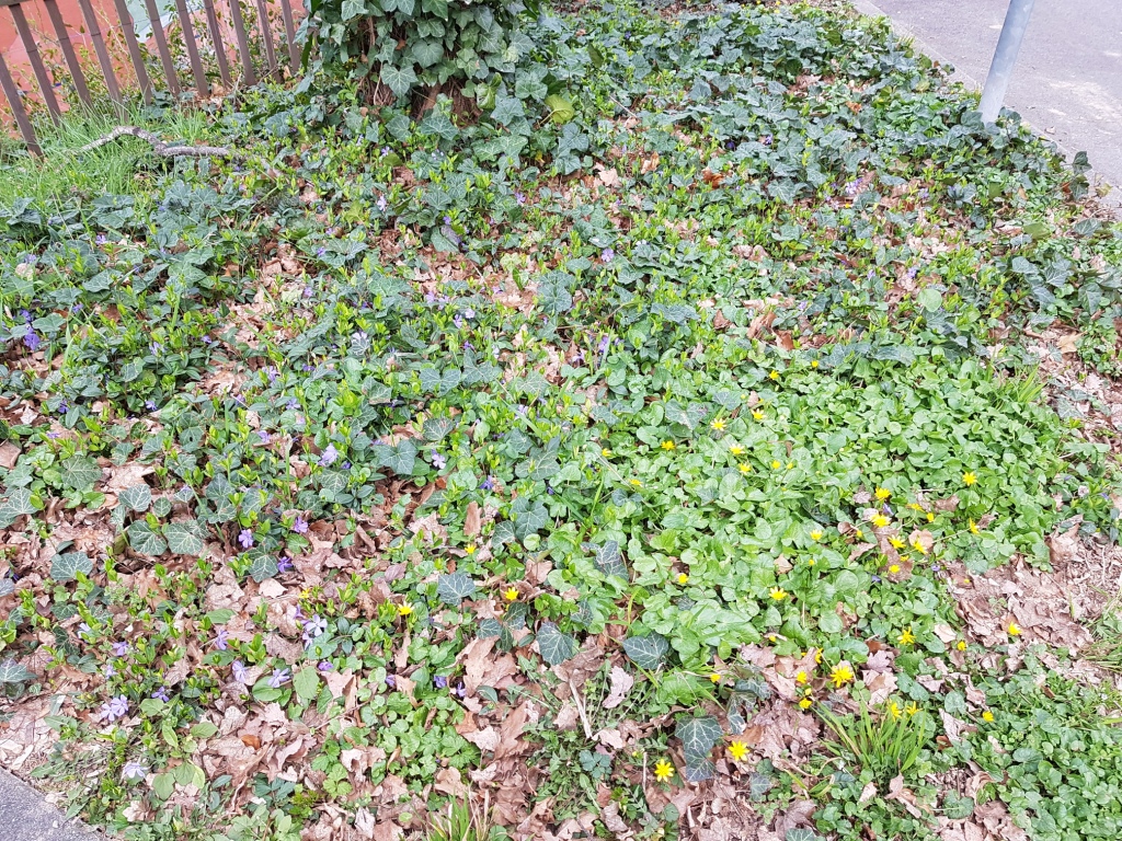 Annexe Biodiversité.jpg