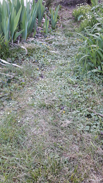 Annexe 20200327_180948.jpg