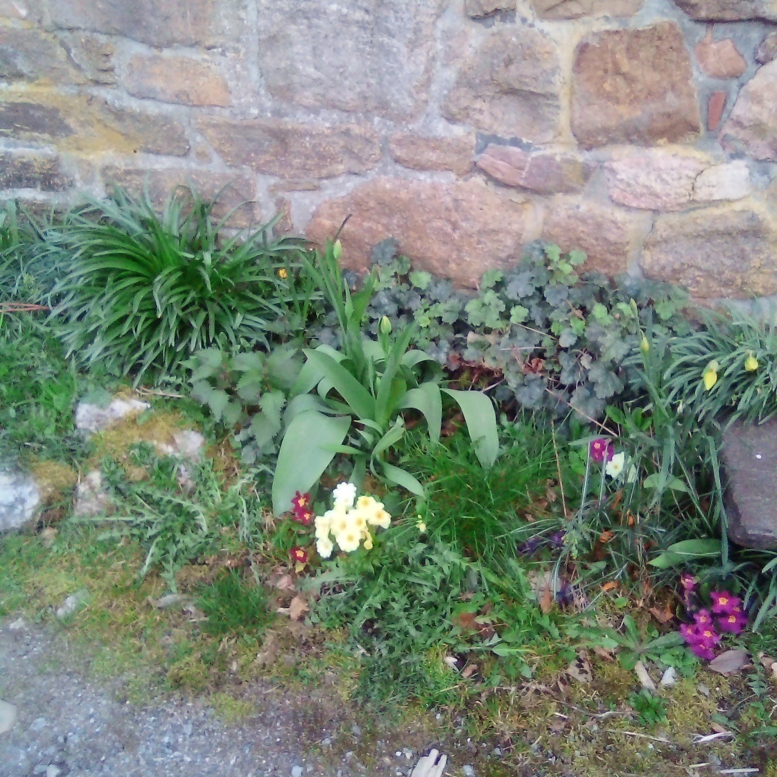 Annexe IMG_20200327_190413622.jpg