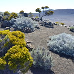 Annexe 38161125814_a1999fa5cc_q.jpg