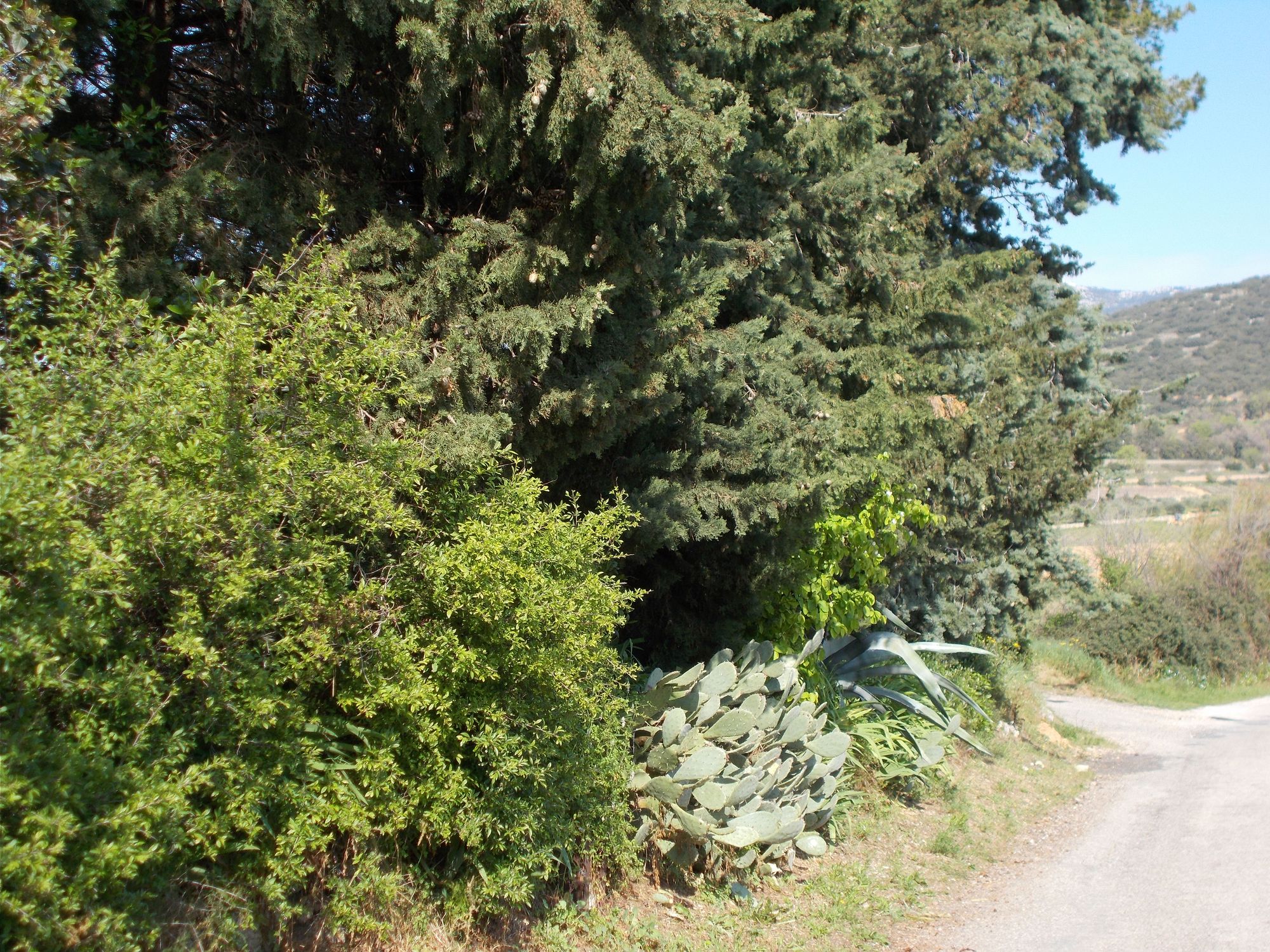 Annexe Biodiversité.jpg