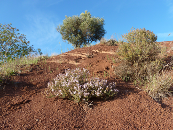 Annexe 10000201000001c6000001545a05640be7bd68f8.png