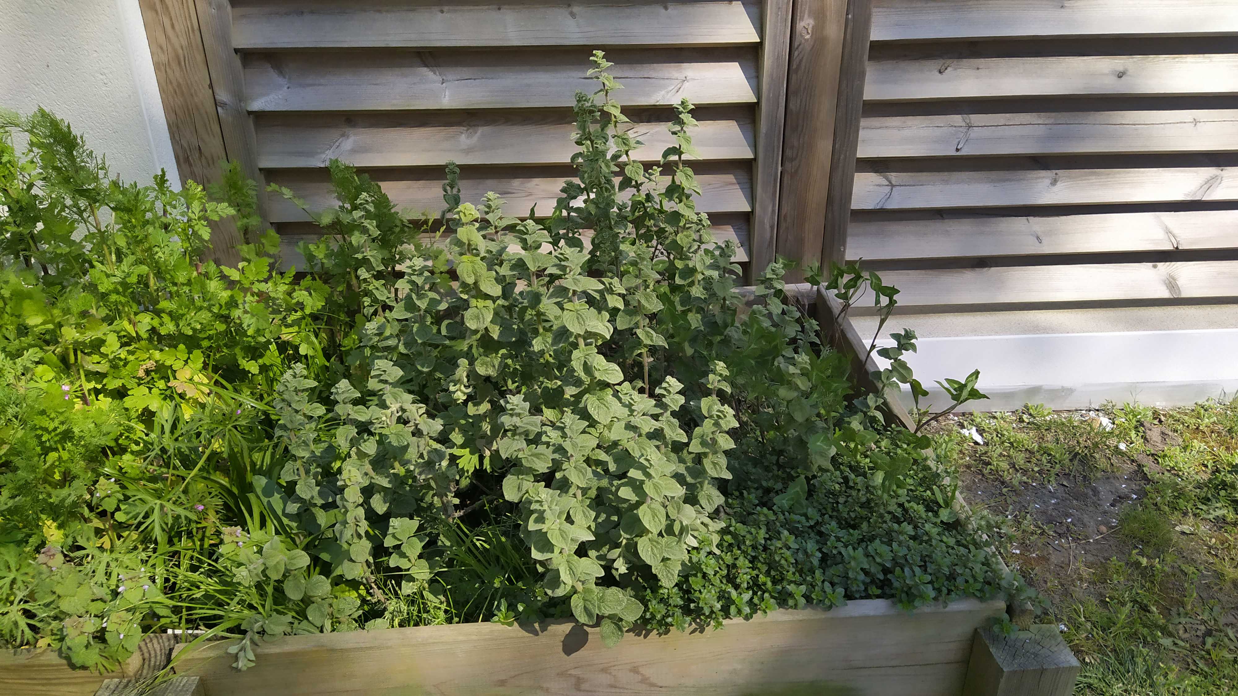 Annexe bac-ConvertImage (1).jpg