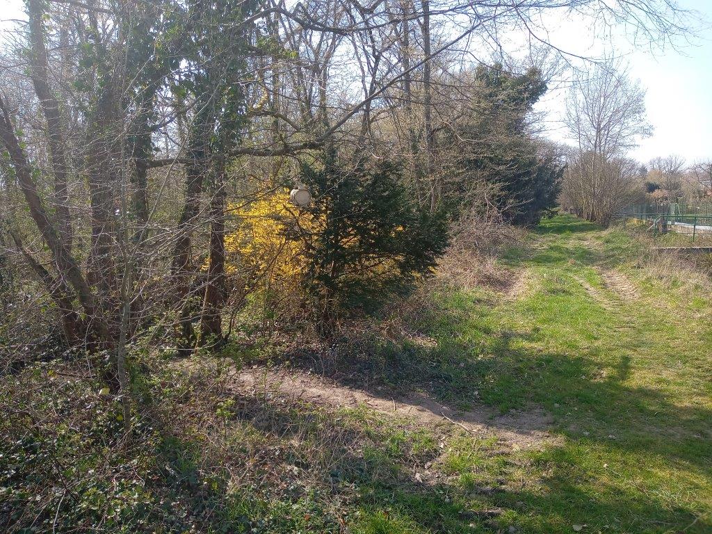 Annexe IMG_20200327_140802103p.jpg