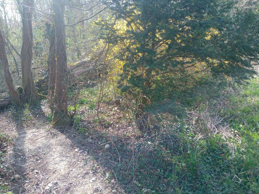 Annexe IMG_20200327_140811264p.jpg