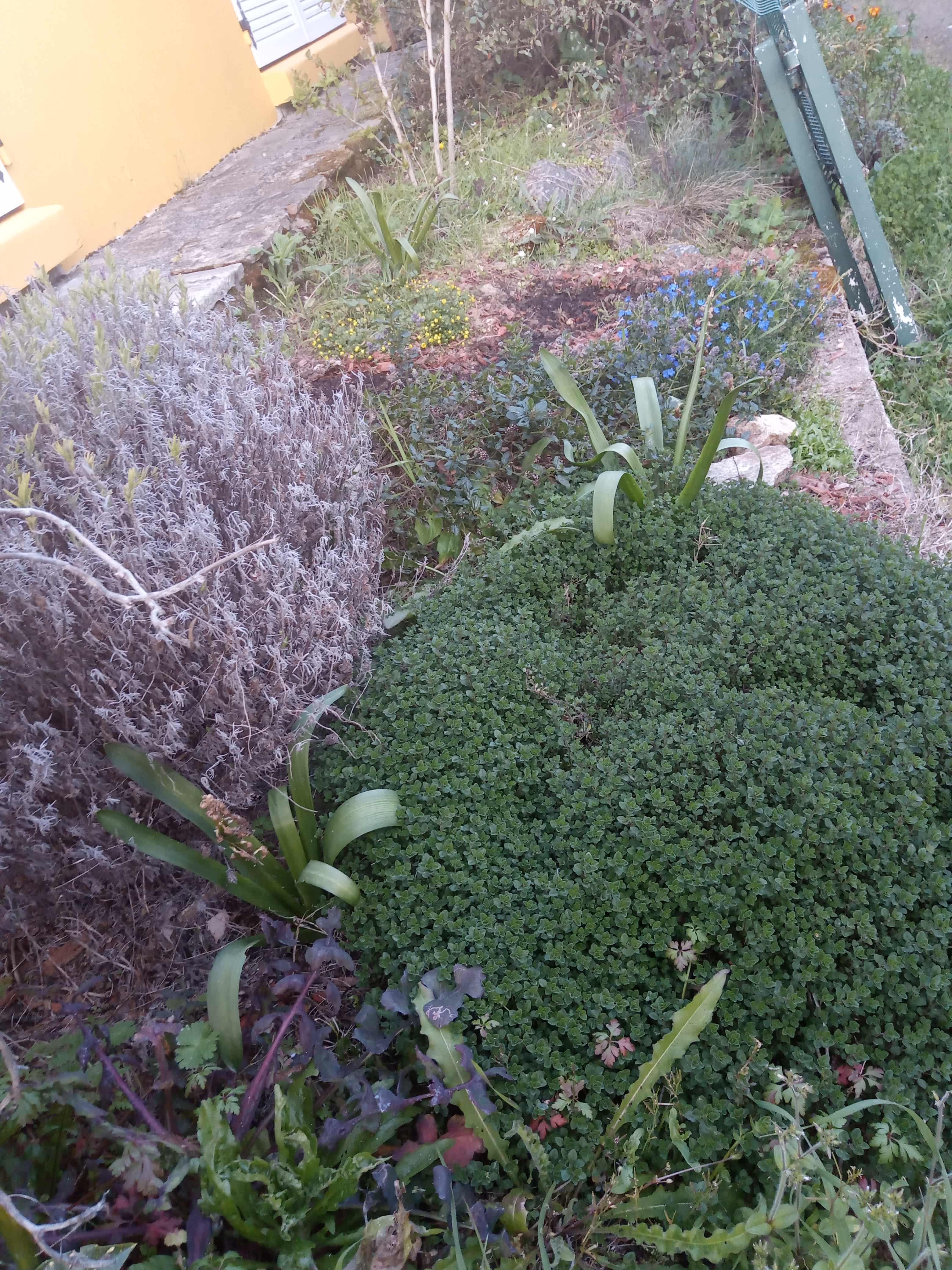 Annexe IMG_20200327_190555-min (1).jpg