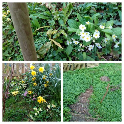 Annexe Biodiversité2a.jpg